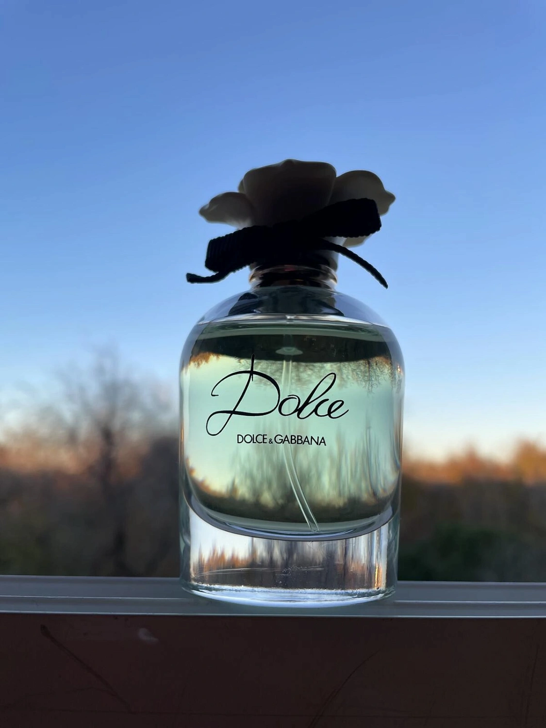 DOLCE & GABBANA Dolce