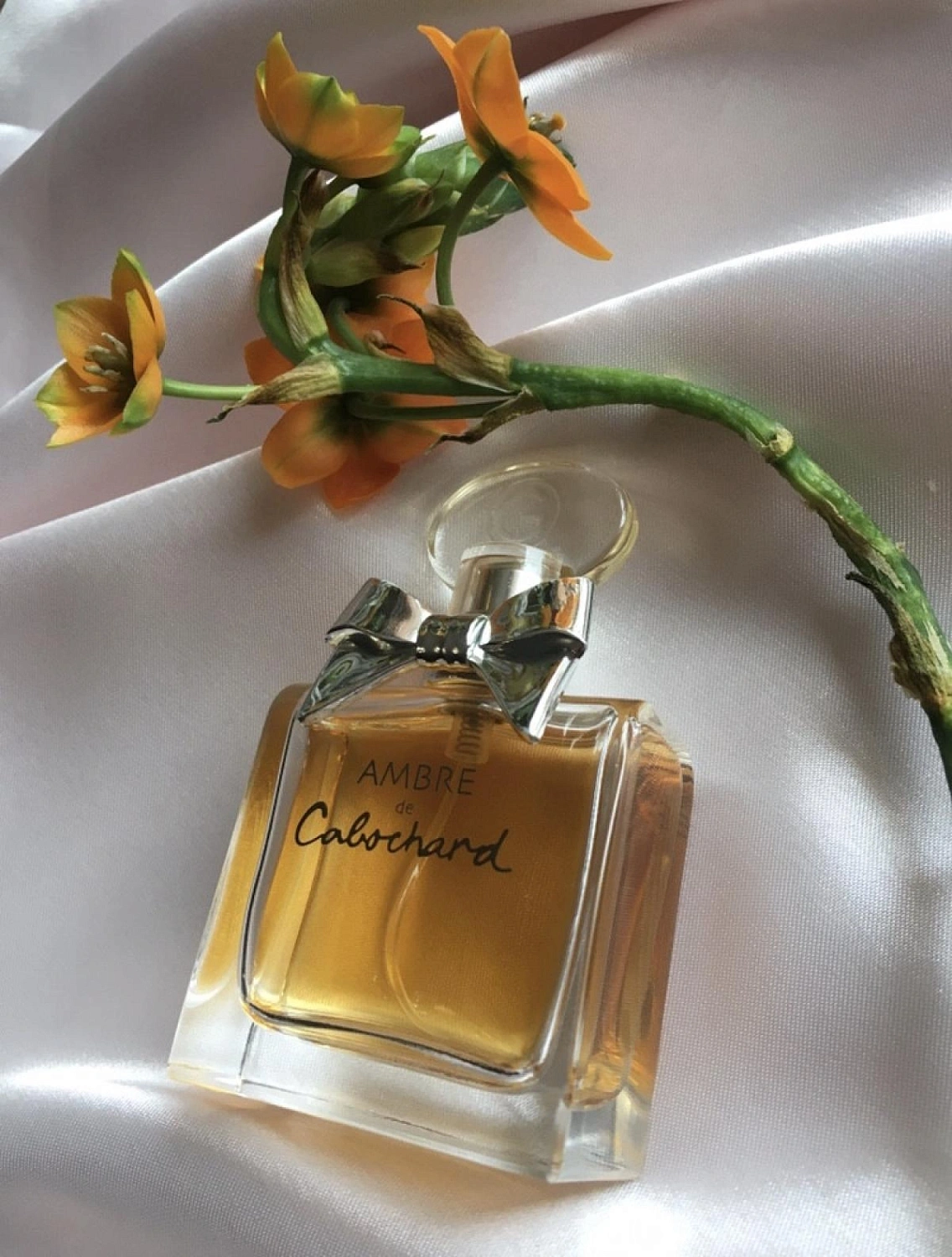 Gres Ambre de Cabochard Gres Ambre de Cabochard