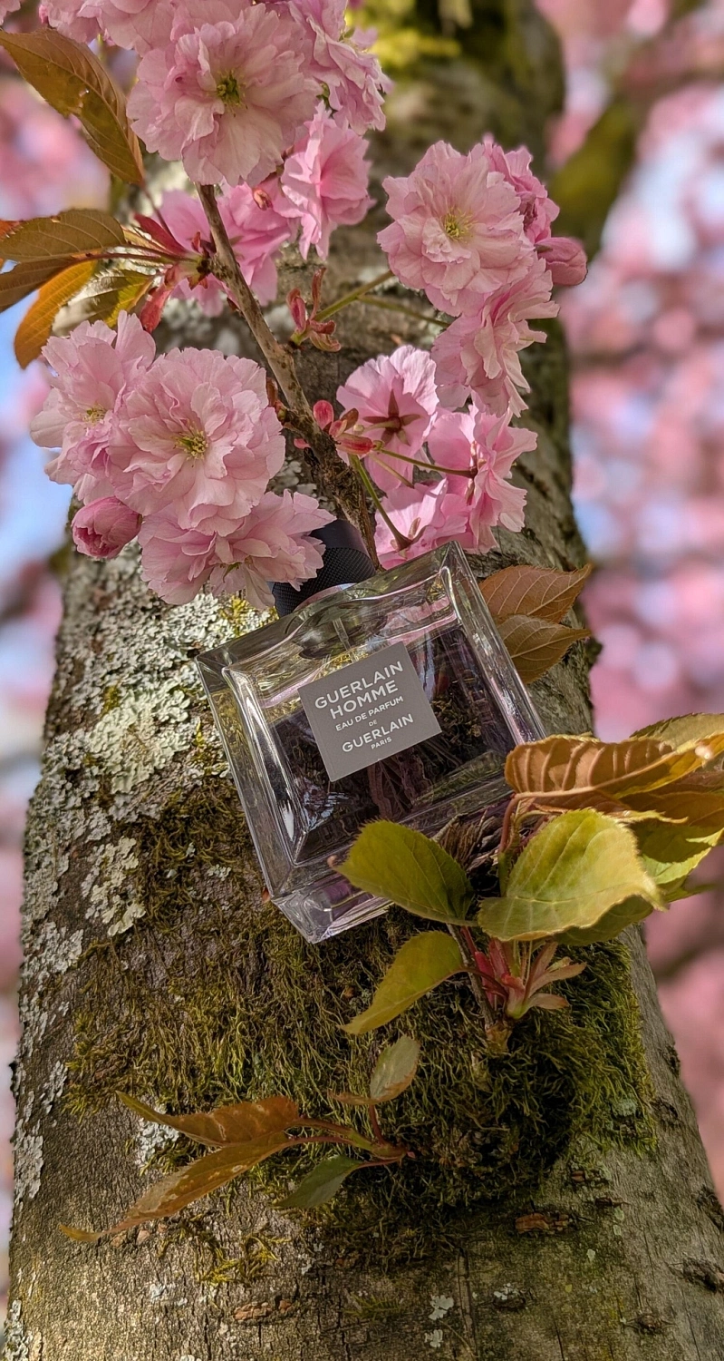 Guerlain Homme Eau de Parfum