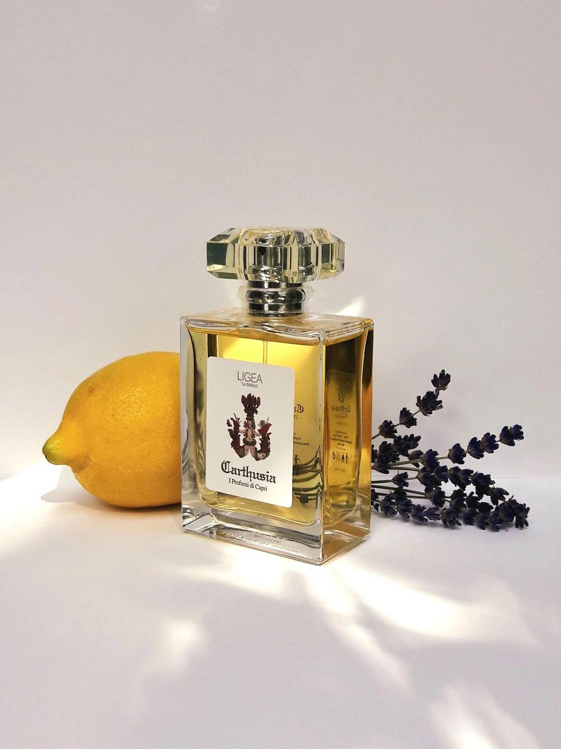 Carthusia Ligea La Sirena