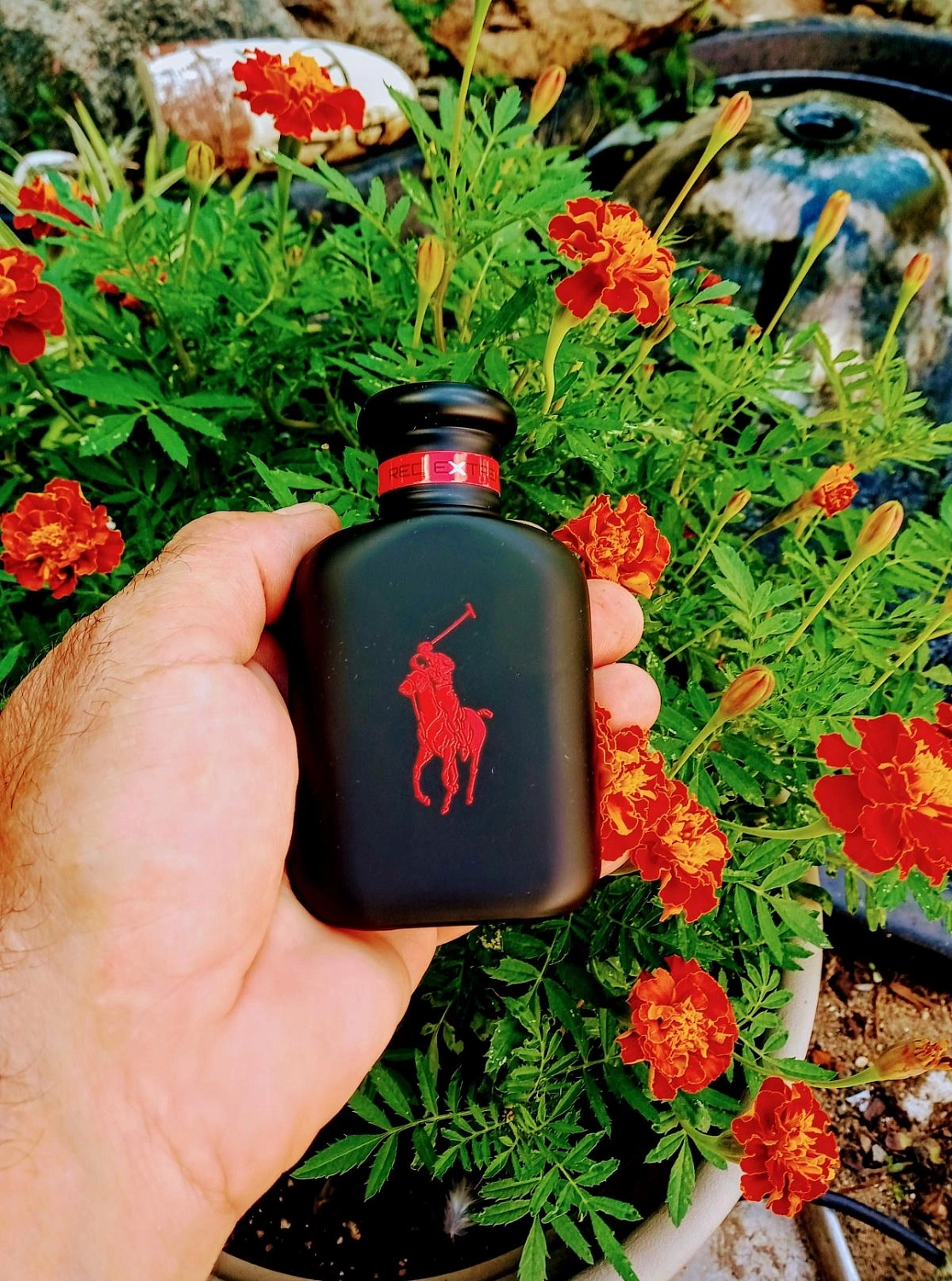 Ralph Lauren Polo Red Extreme