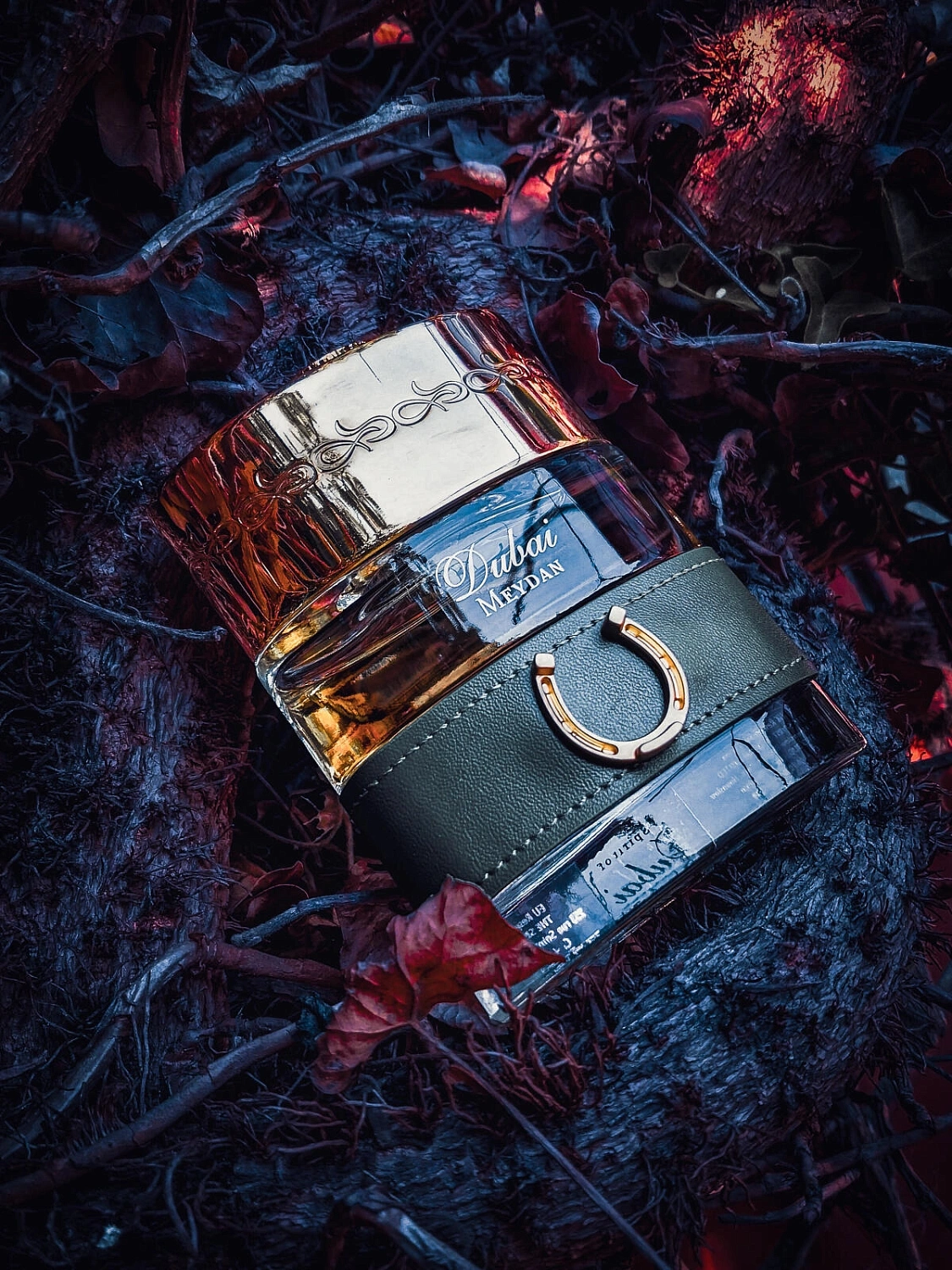 The Spirit of Dubai Meydan