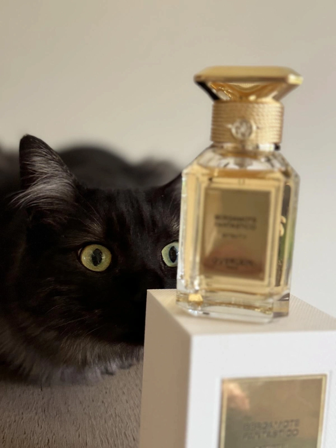 Guerlain Bergamote Fantastico Extrait 11 Guerlain Bergamote Fantastico Extrait 11
