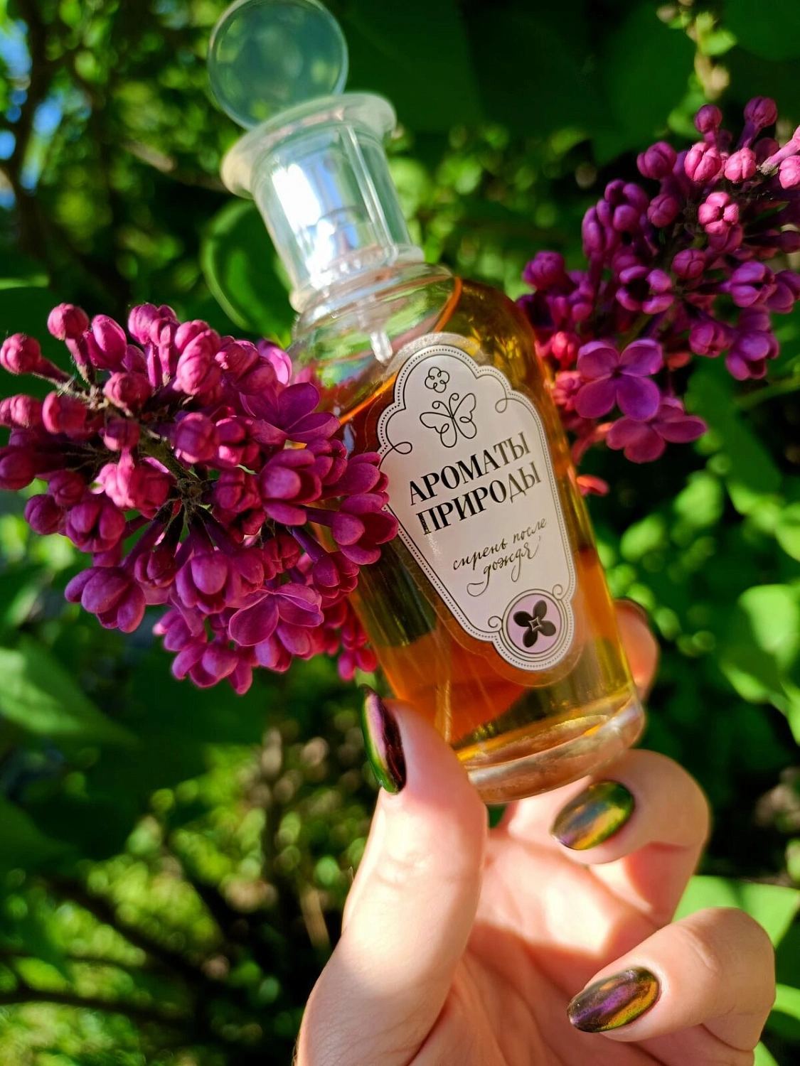 Brocard Сирень после дождя