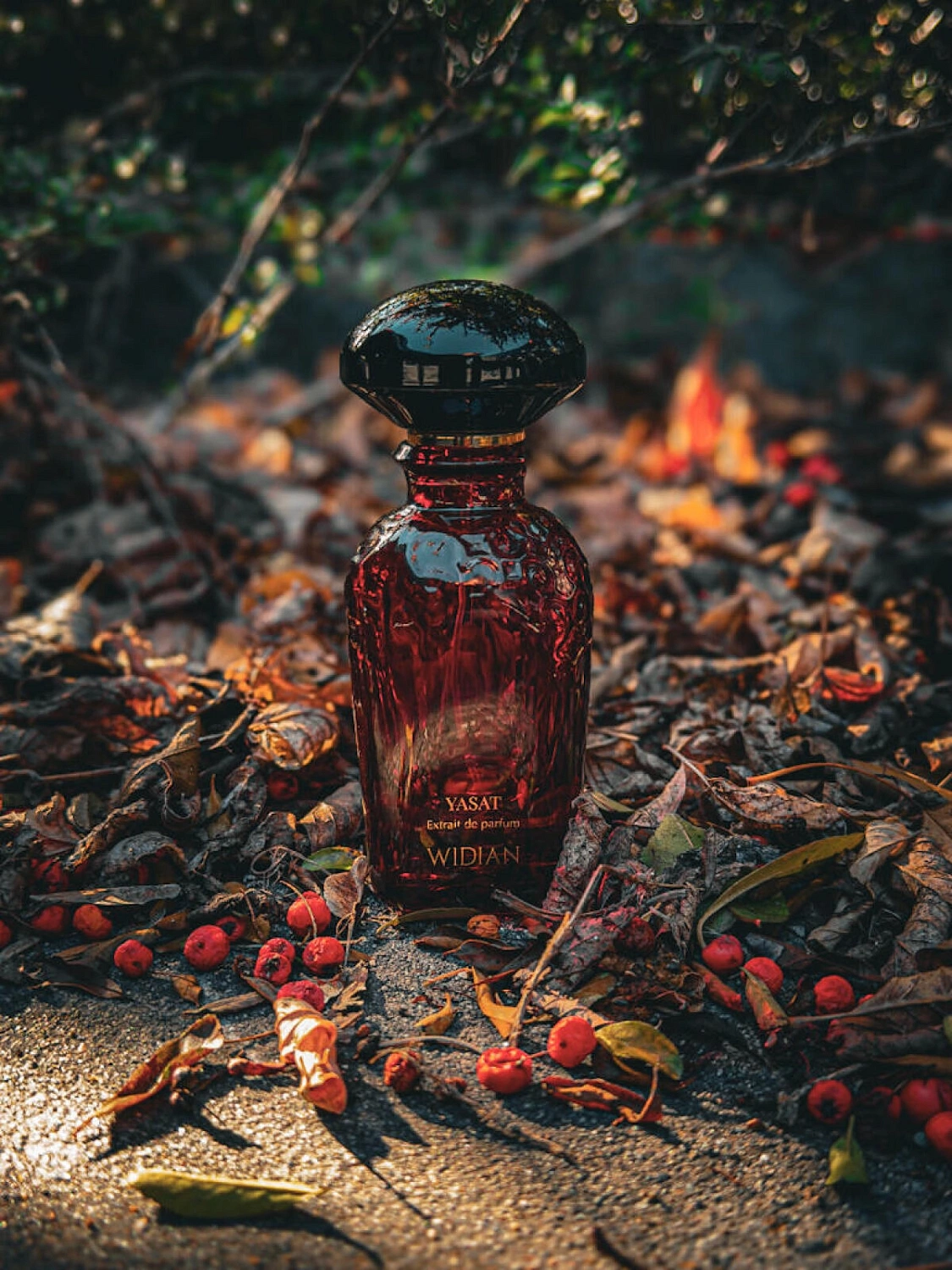 Aj Arabia Widian Yasat