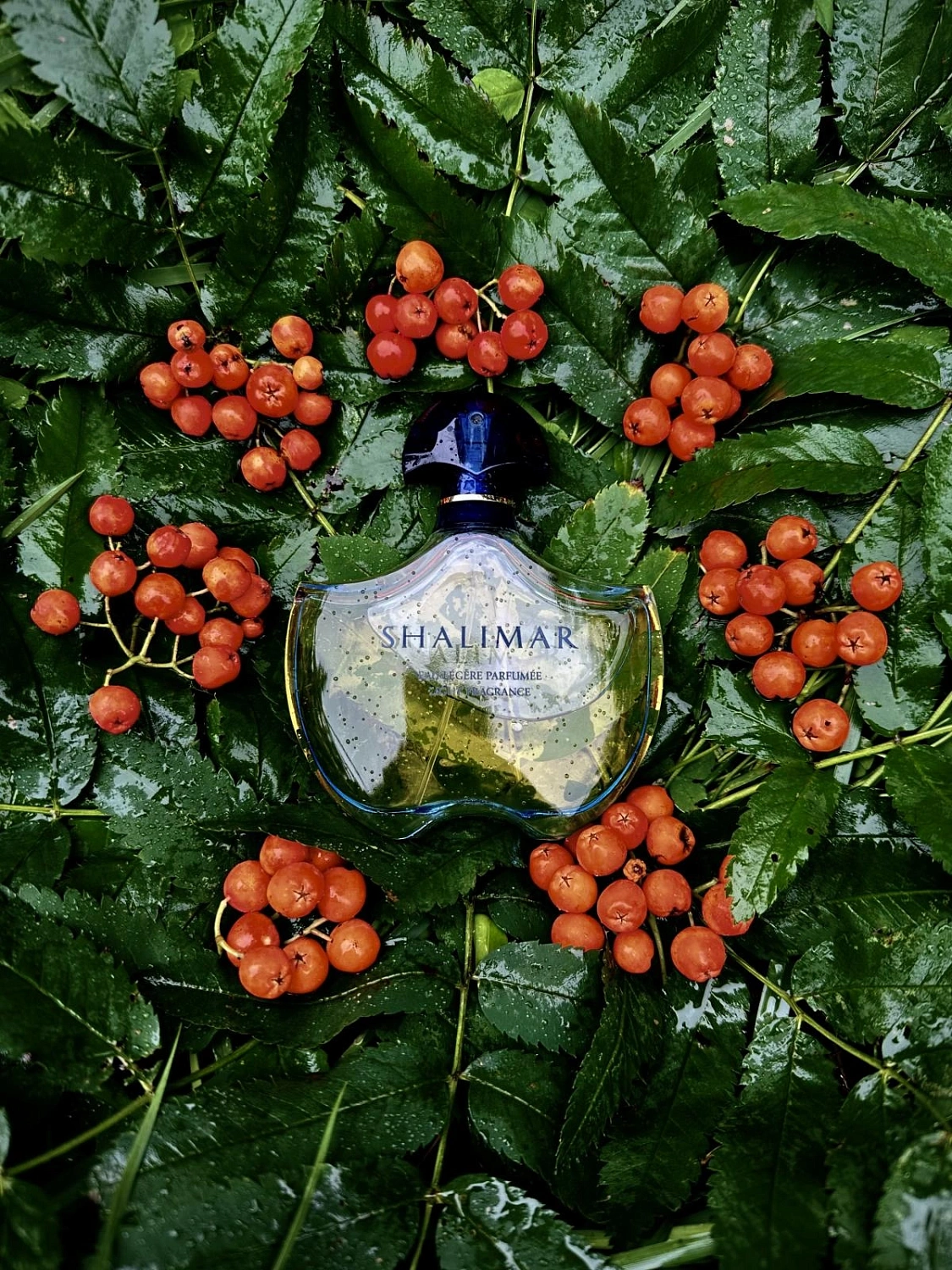 Guerlain Shalimar Legere (Light)