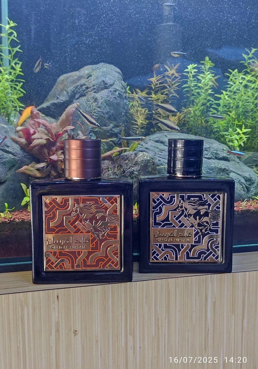 Lattafa Qaed Al Fursan