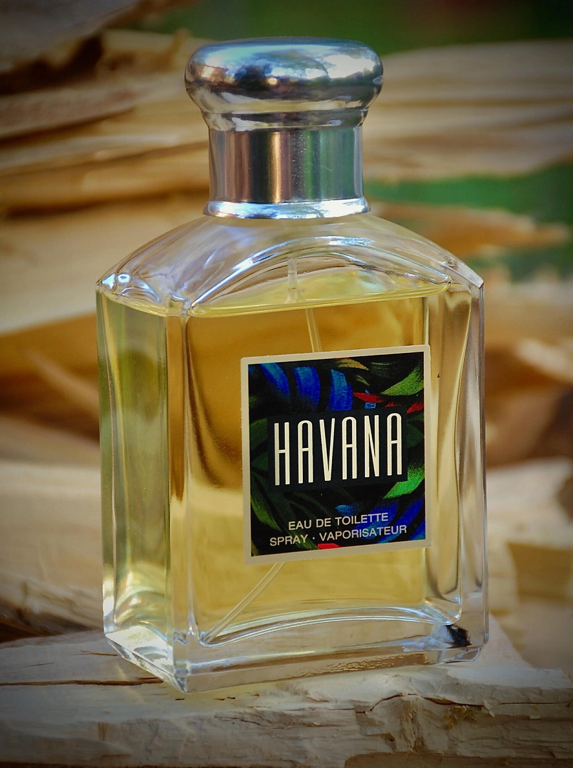 Aramis Havana for Men