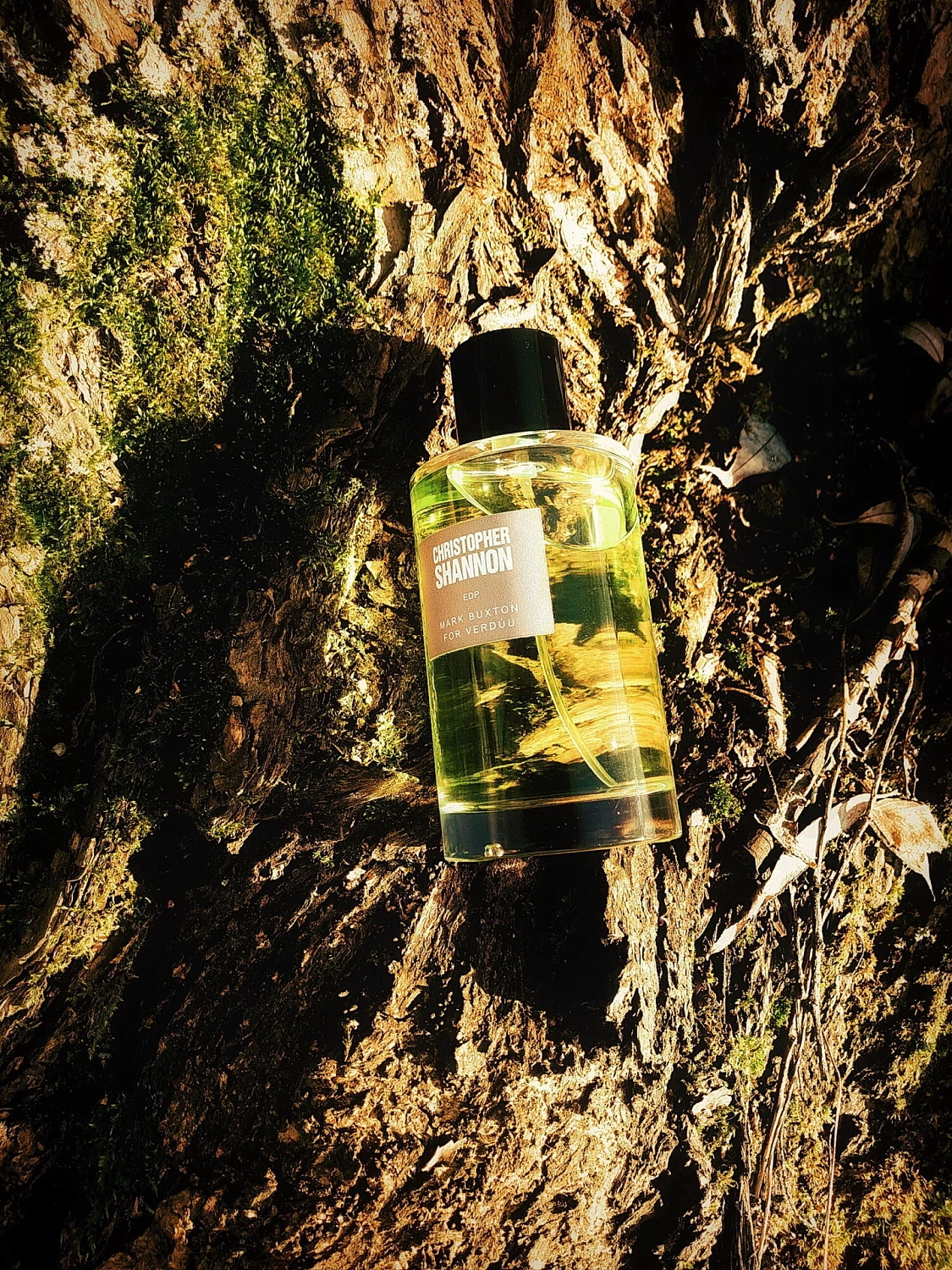 Verduu Christopher Shannon