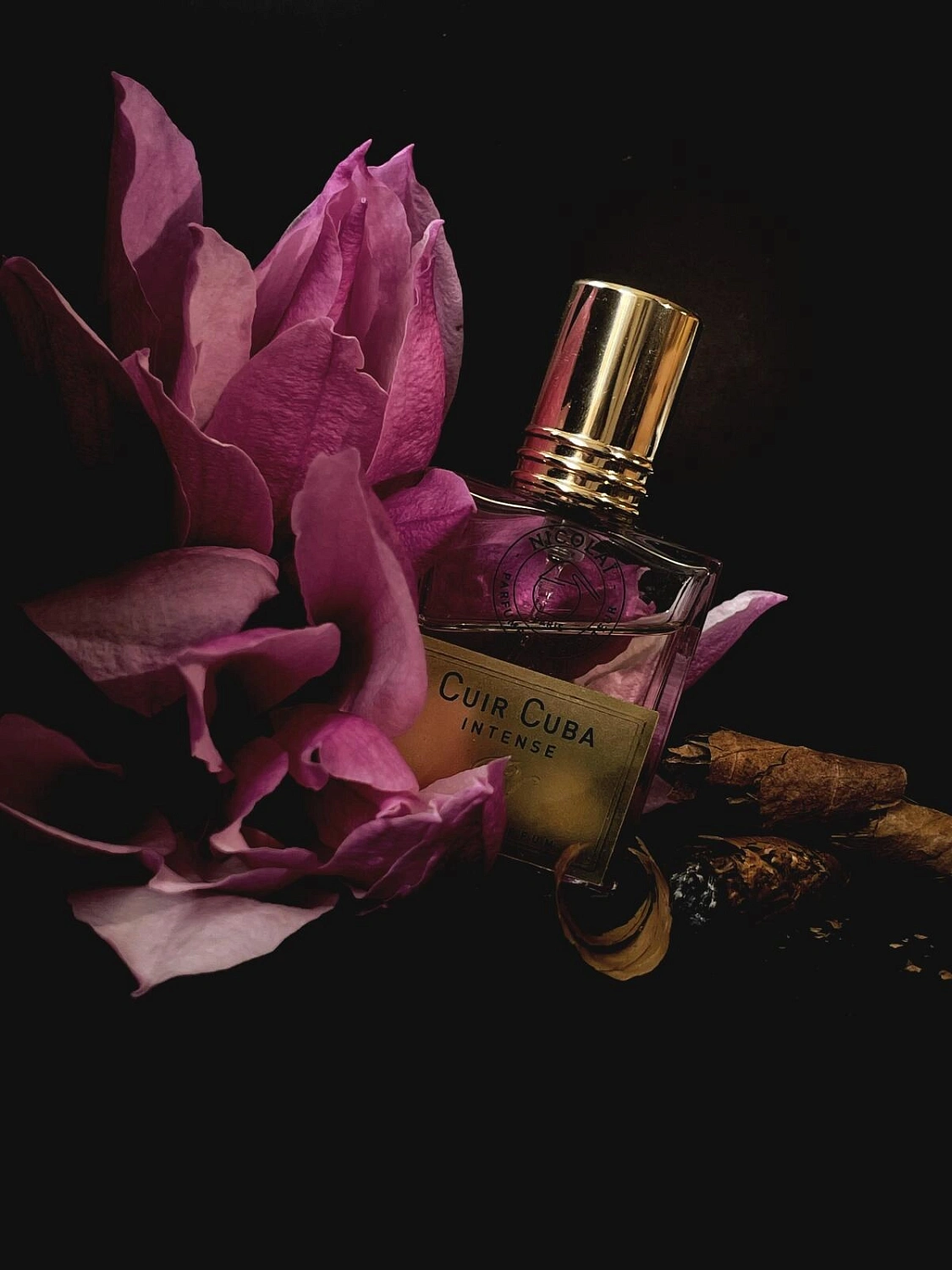 NICOLAI Cuir Cuba Intense