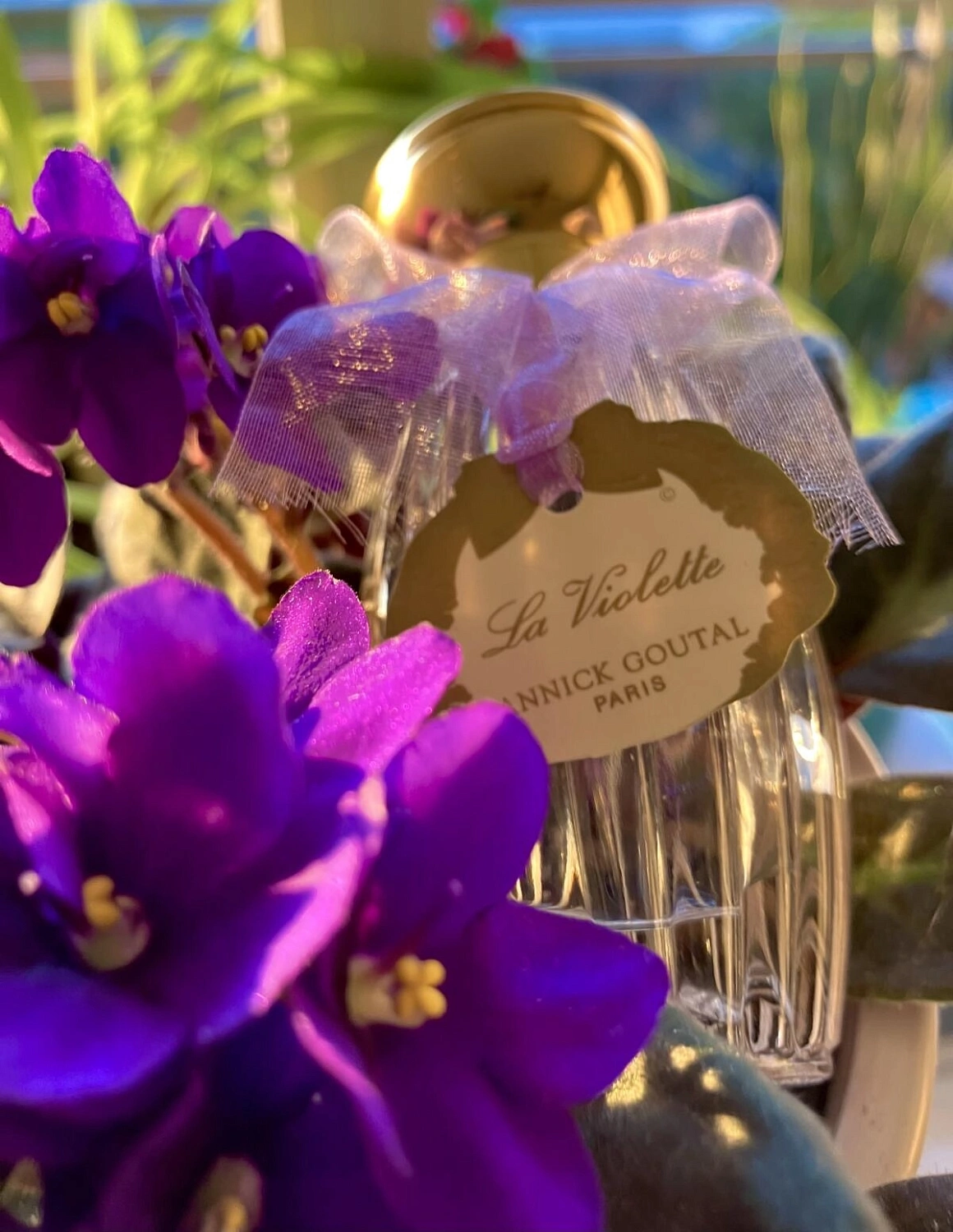 Annick Goutal La Violette