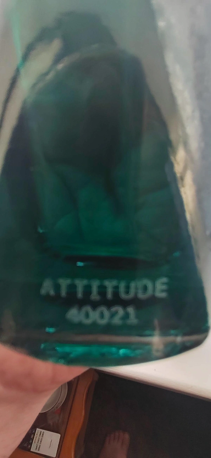 Antonio Banderas The Icon