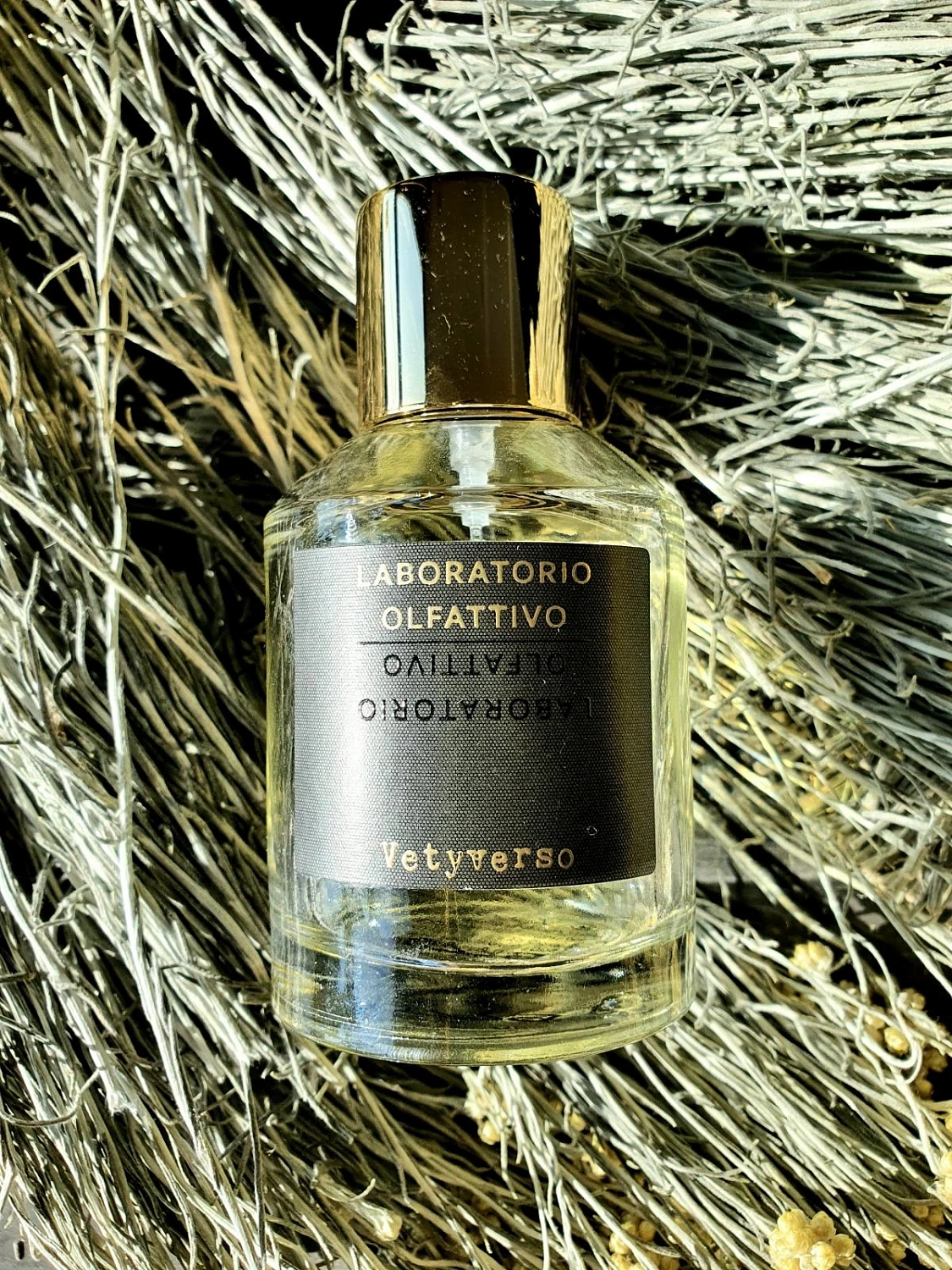 Laboratorio Olfattivo Vetyverso