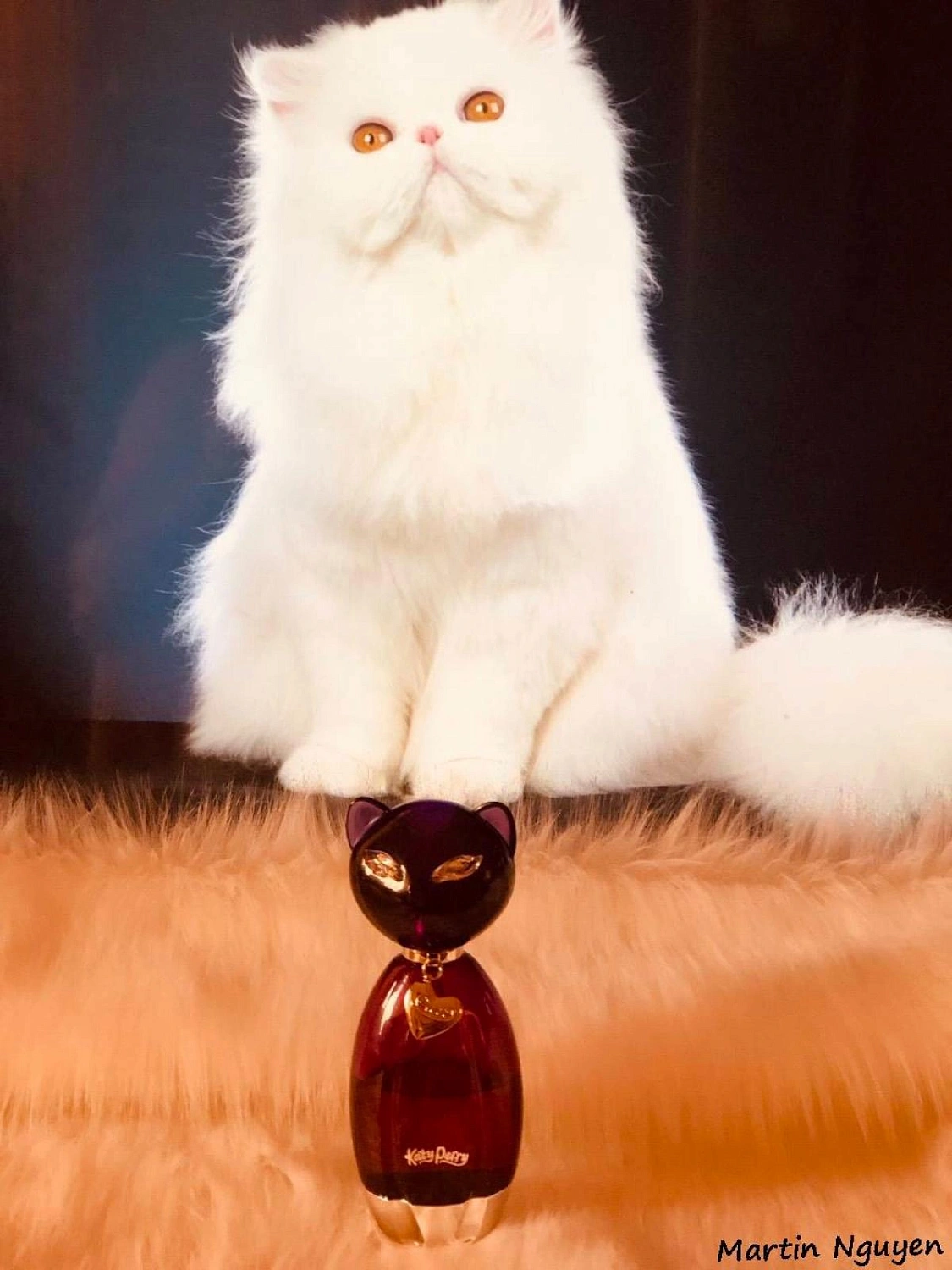 Katy Perry Purr