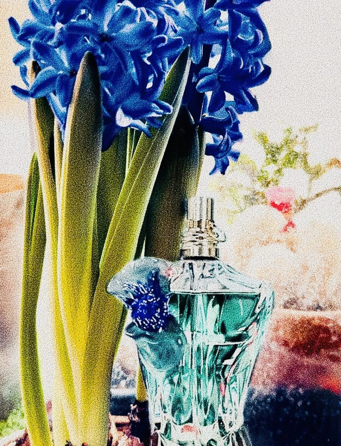 Jean Paul Gaultier Le Beau Flower Edition Jean Paul Gaultier Le Beau Flower Edition