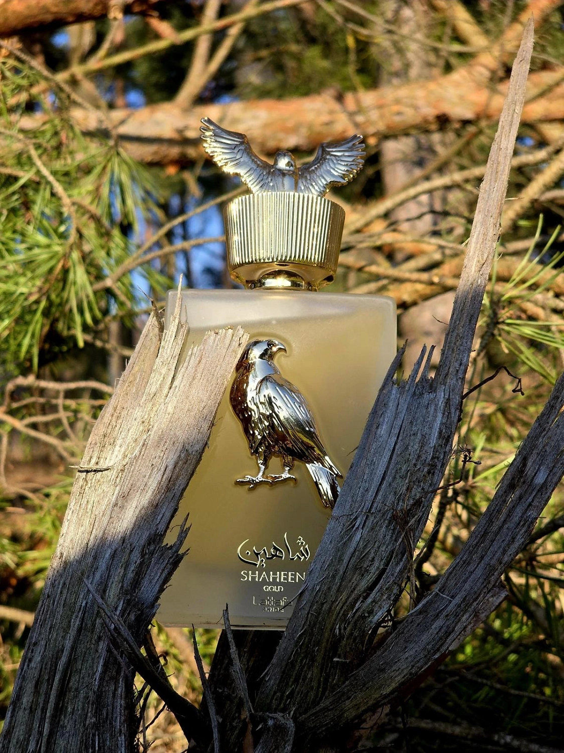 Lattafa Pride Shaheen Gold