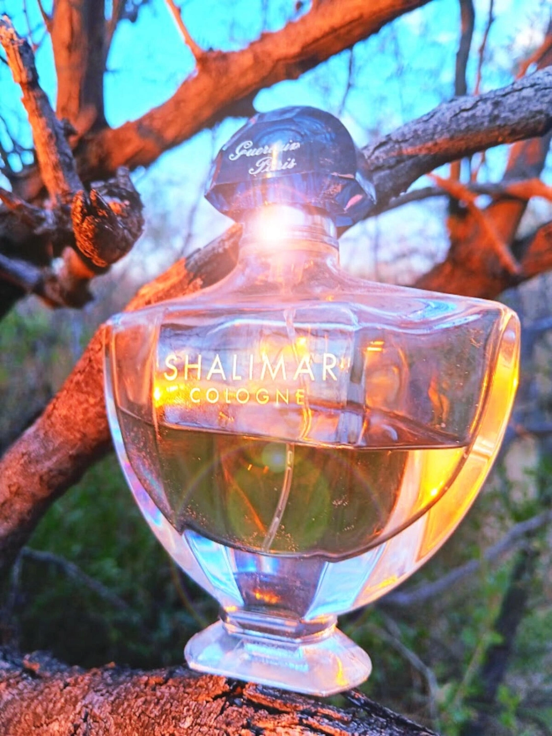 Guerlain Shalimar Cologne