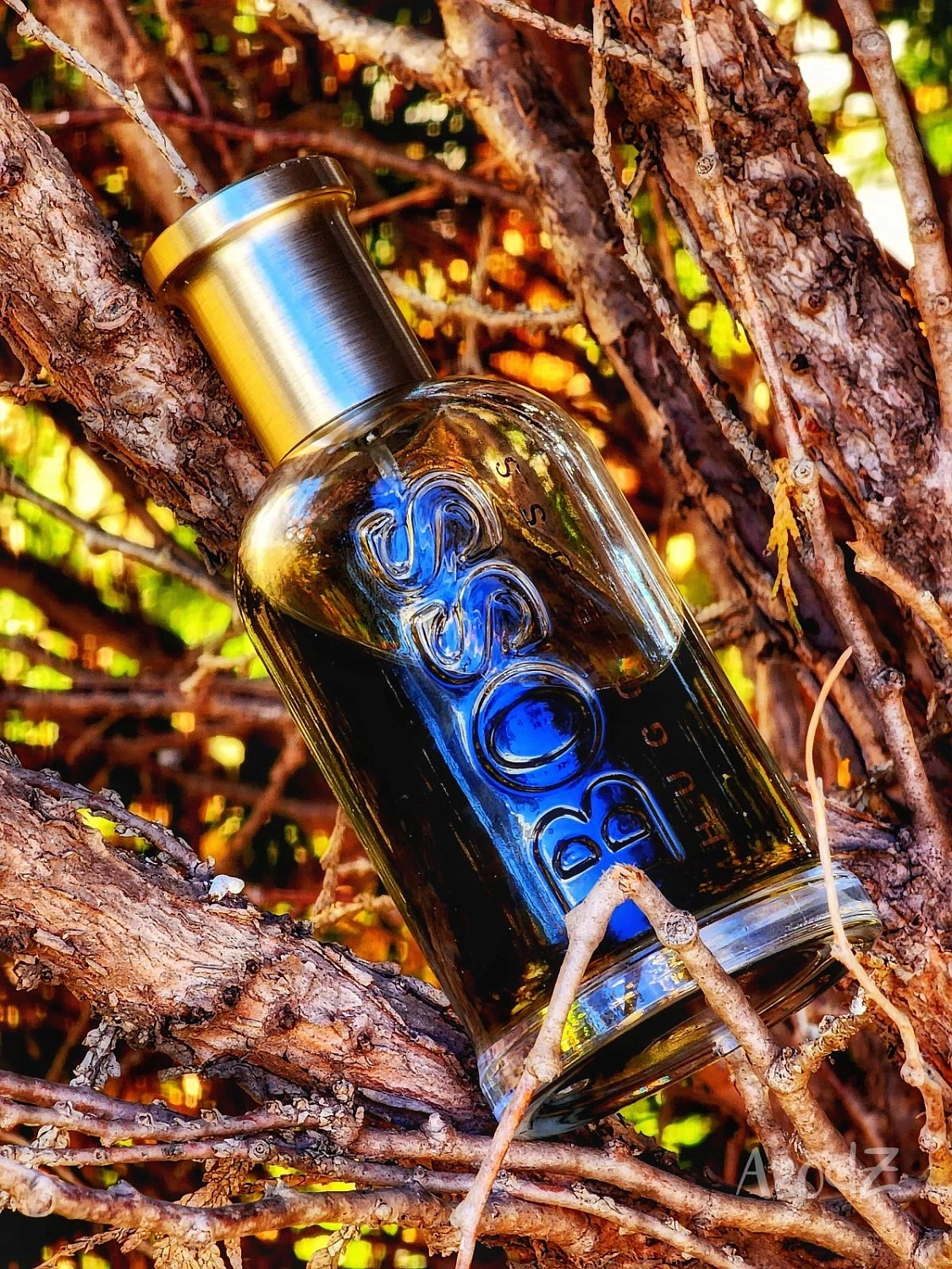 HUGO BOSS Boss Bottled Eau de Parfum 2020