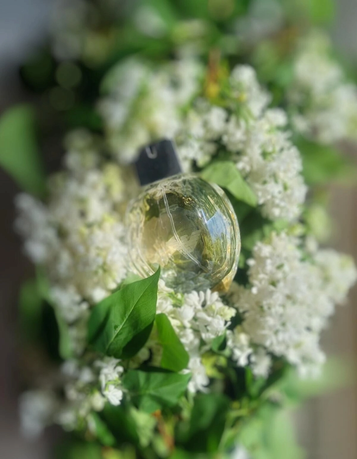 Emporio Armani Diamonds