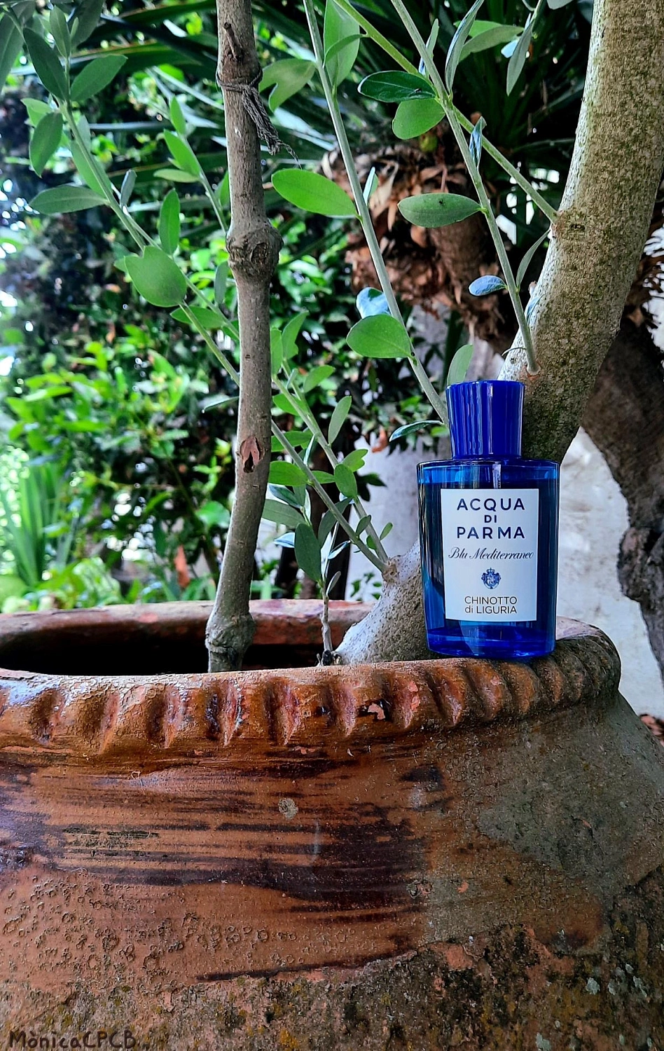 Acqua di Parma Chinotto di Liguria Acqua di Parma Chinotto di Liguria