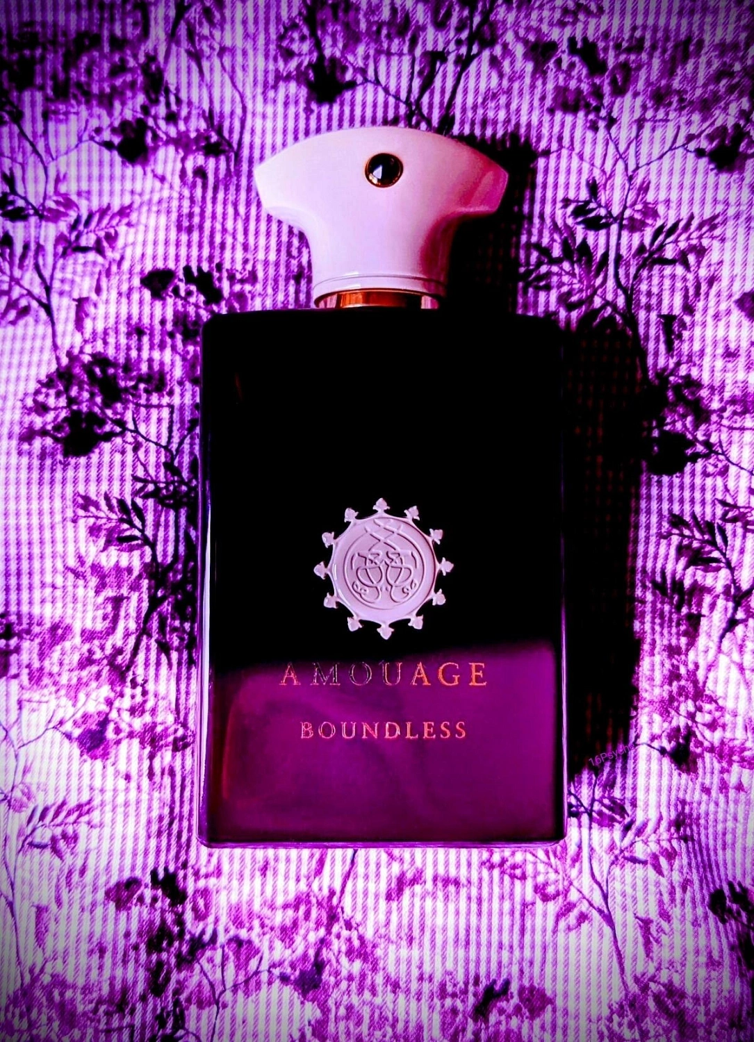 Amouage Boundless