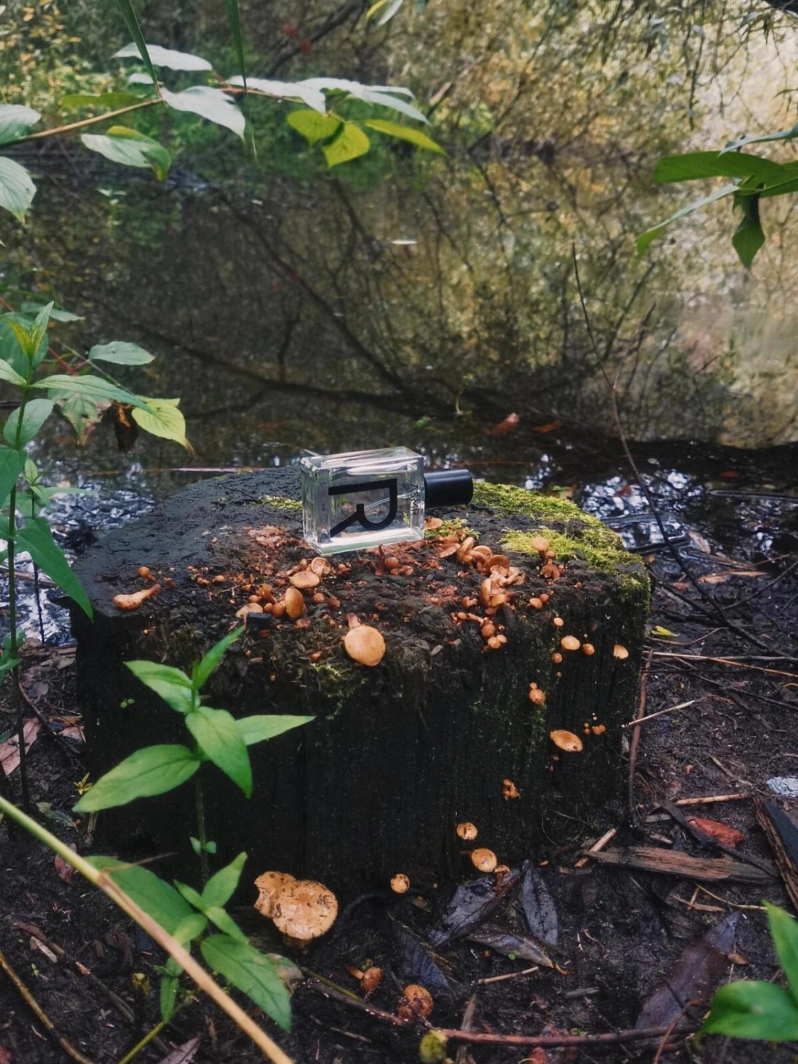 ASMR Fragrances Rain Tapping