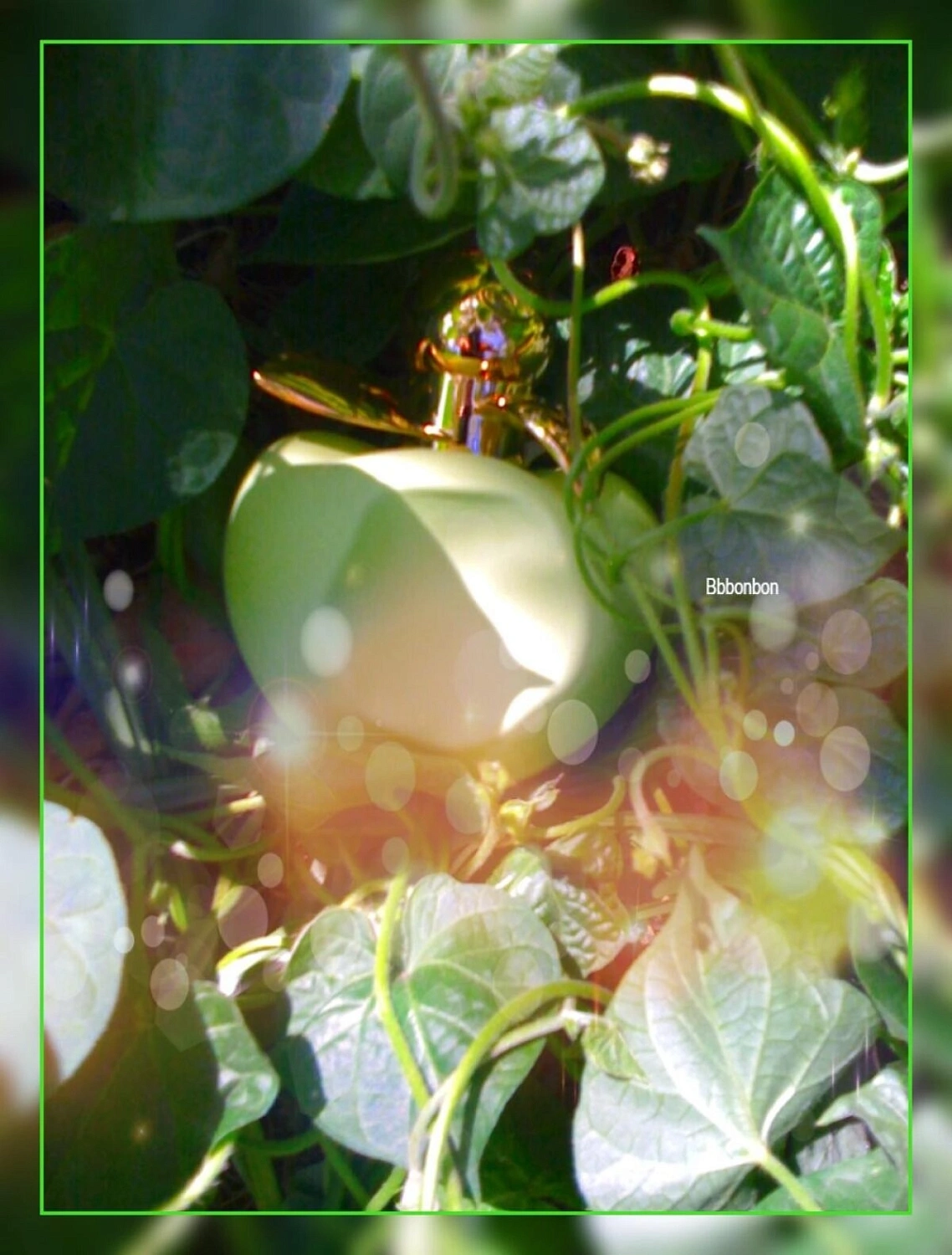 NINA RICCI Les Sorbets de Bella