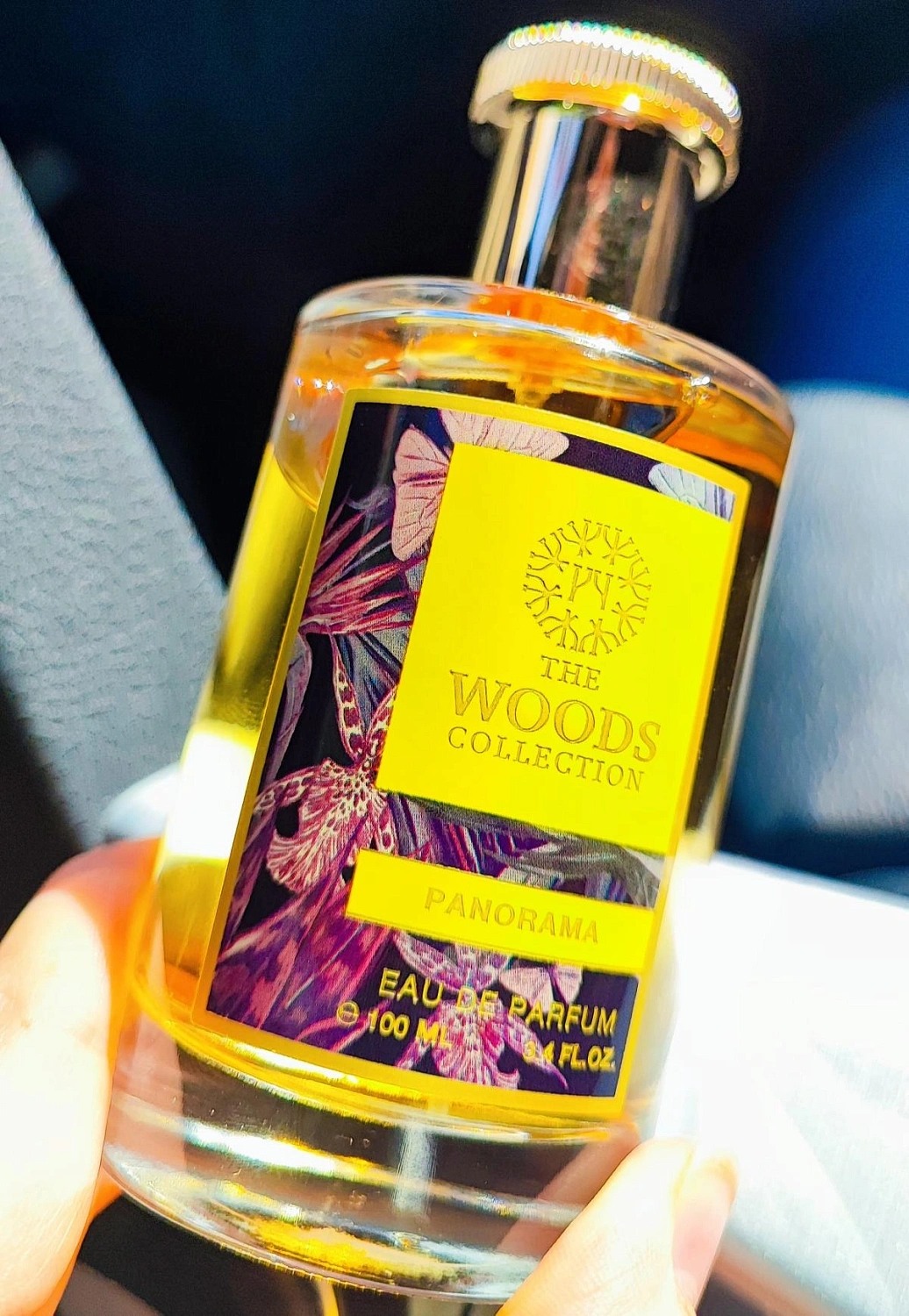 The Woods Collection Panorama