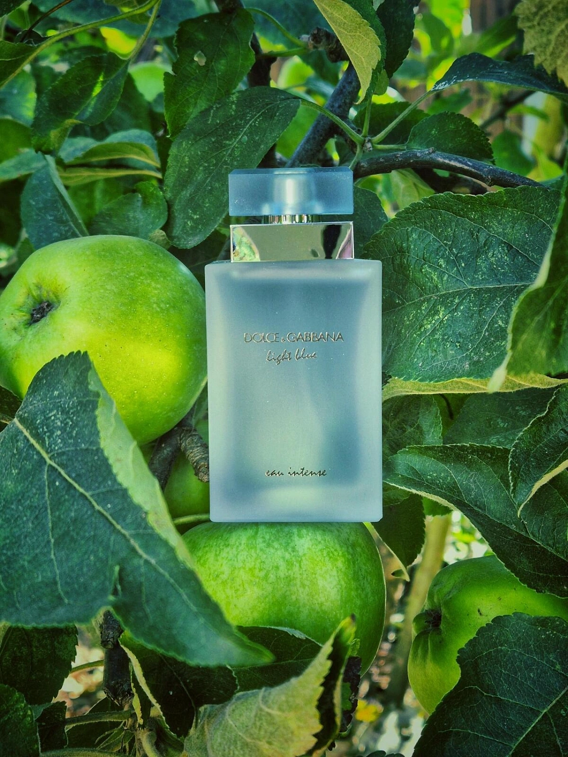 DOLCE & GABBANA Light Blue Eau Intense DOLCE & GABBANA Light Blue Eau Intense