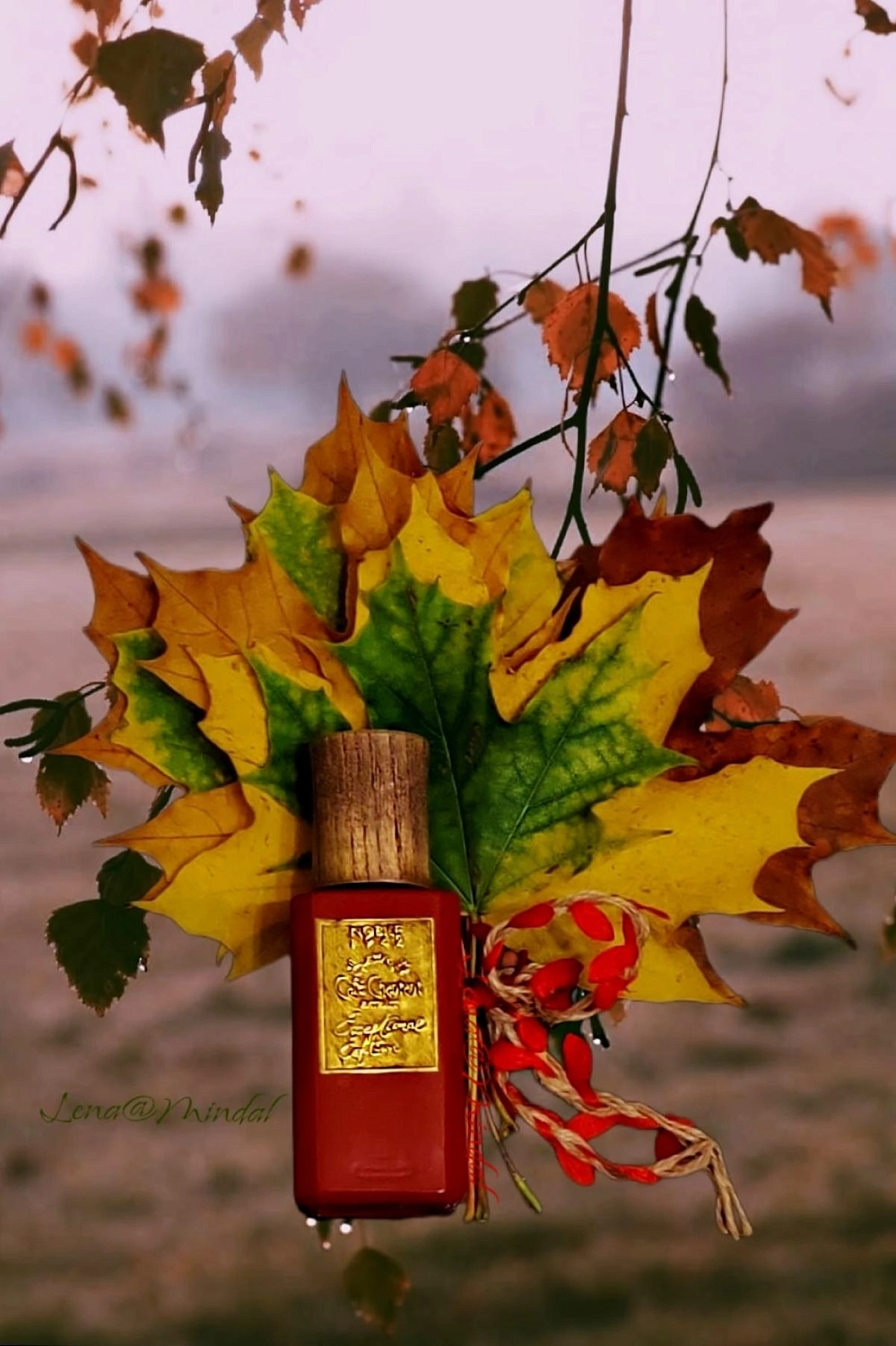 Nobile 1942 Cafe Chantant Exceptional Edition