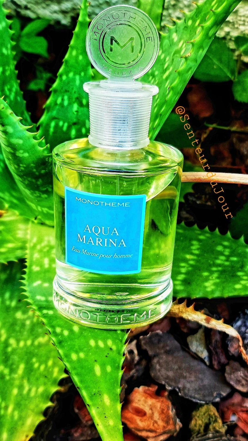 Monotheme Fine Fragrances Venezia Aqua Marina Monotheme Fine Fragrances Venezia Aqua Marina