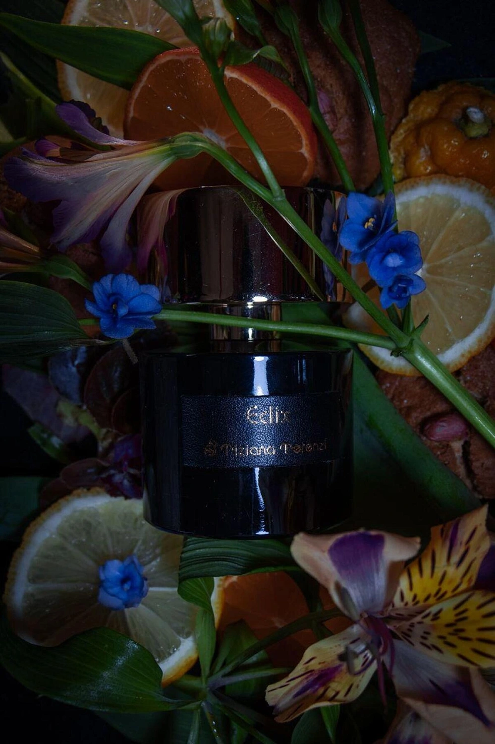 Tiziana Terenzi Eclix