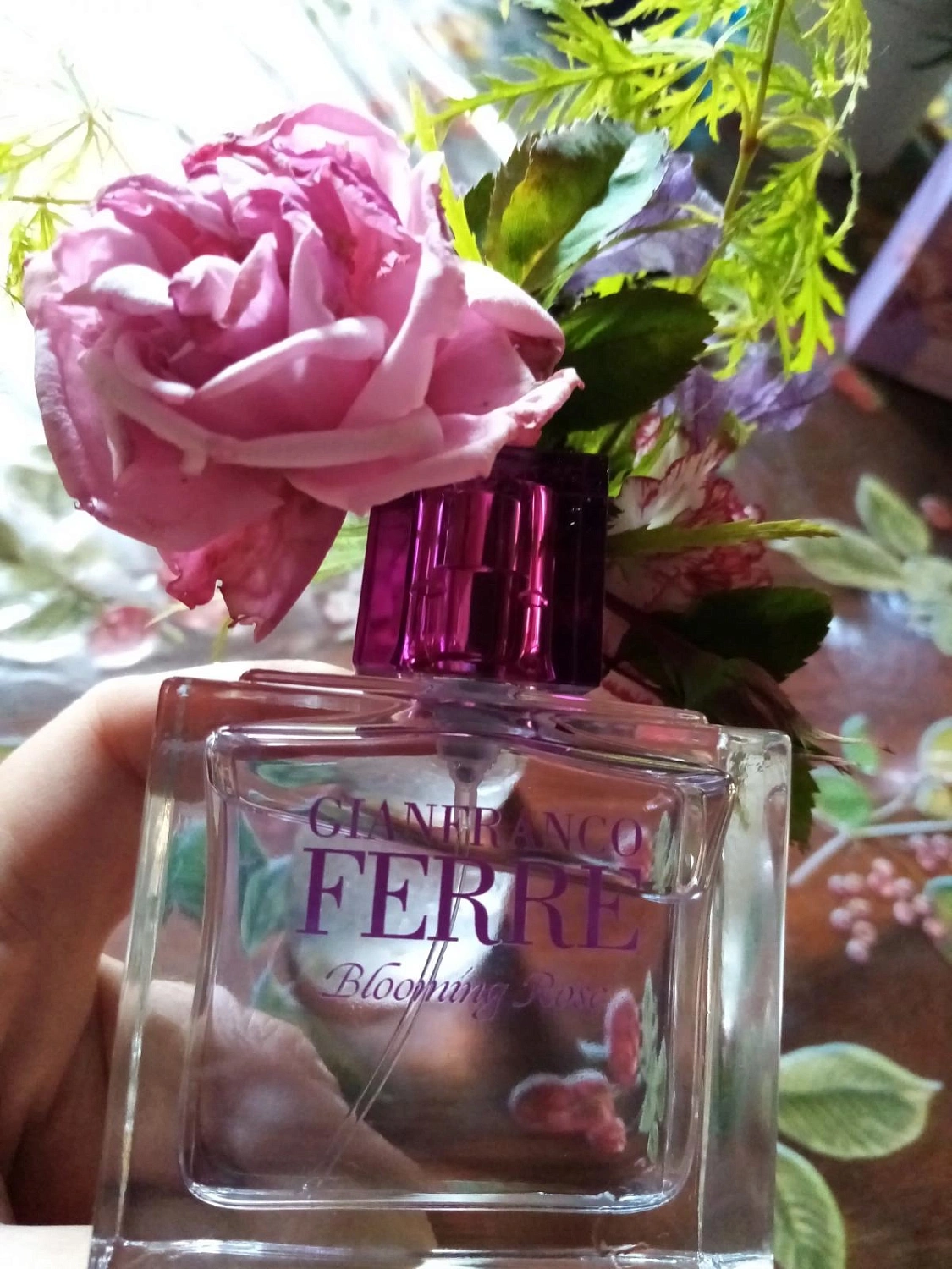 GF Ferre Blooming Rose
