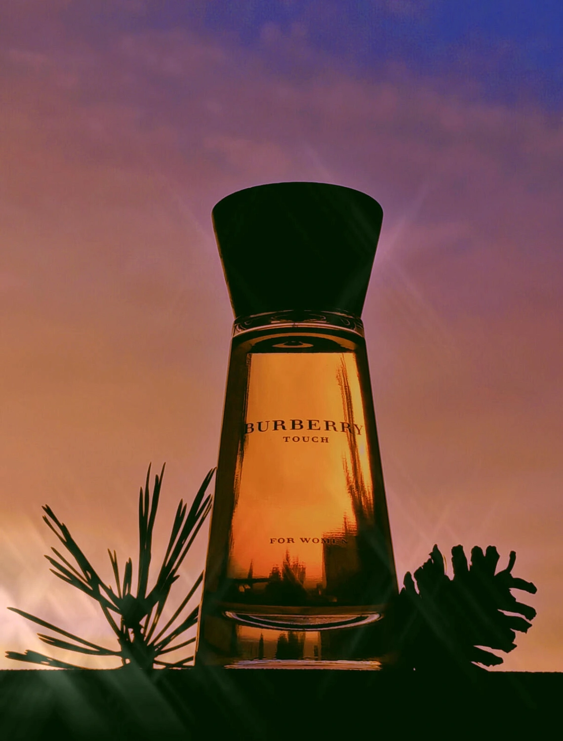 Burberry Touch for Women