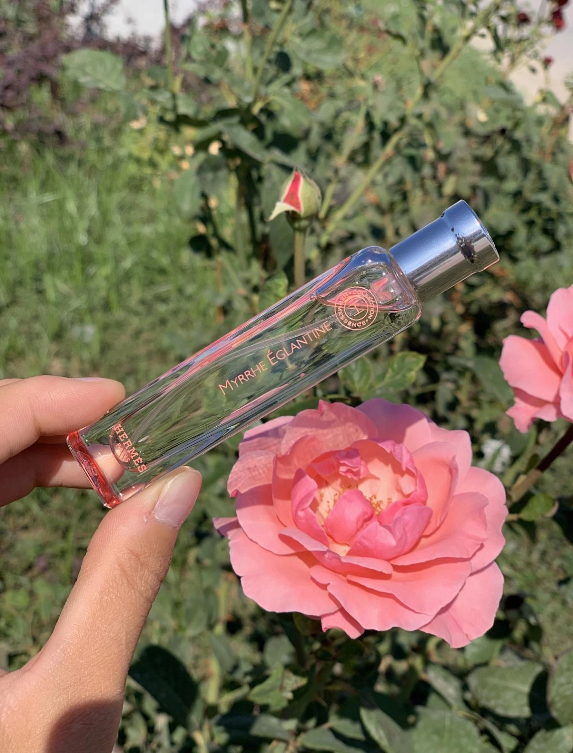 Hermessence Myrrhe Eglantine