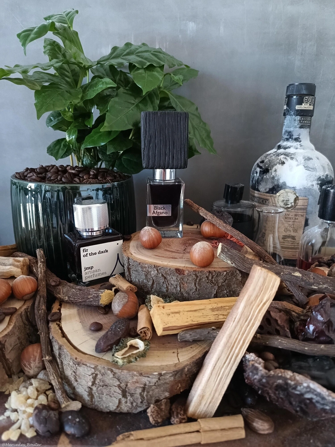 Orto Parisi Terroni