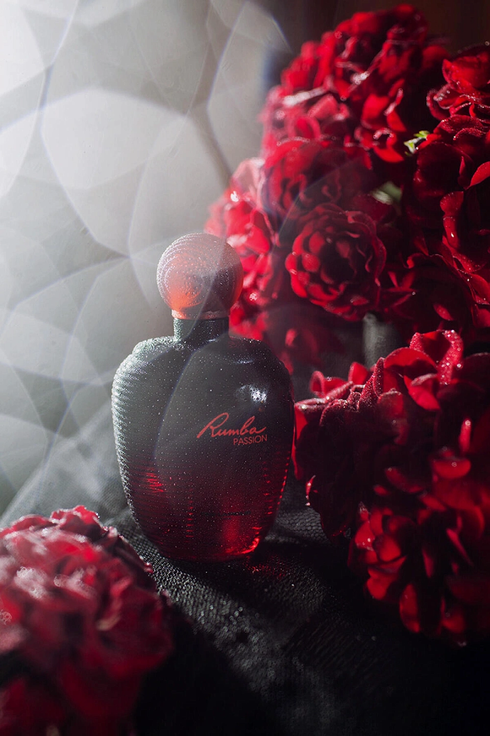 Ted Lapidus Rumba Passion