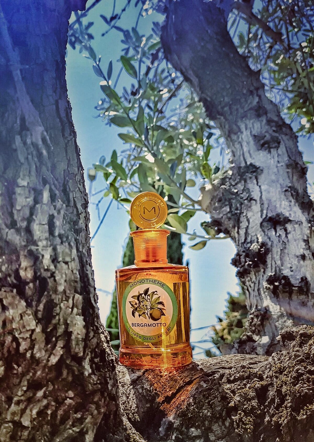Monotheme Fine Fragrances Venezia Bergamotto Monotheme Fine Fragrances Venezia Bergamotto