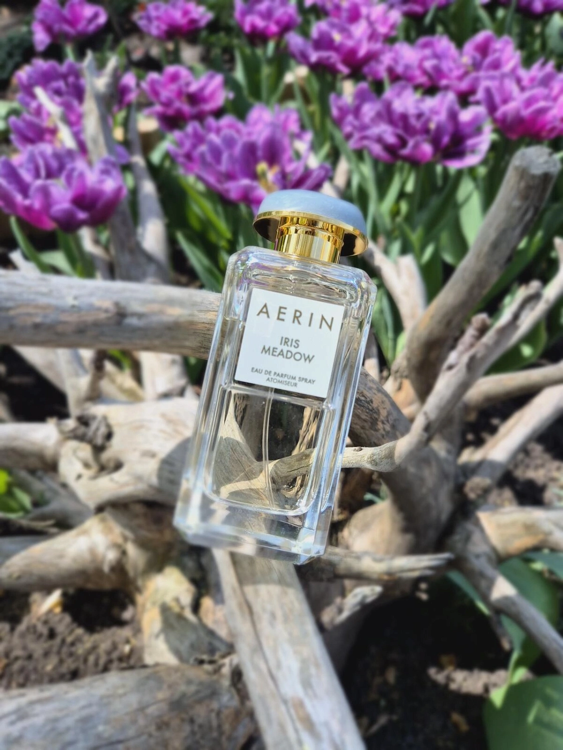 AERIN Iris Meadow AERIN Iris Meadow