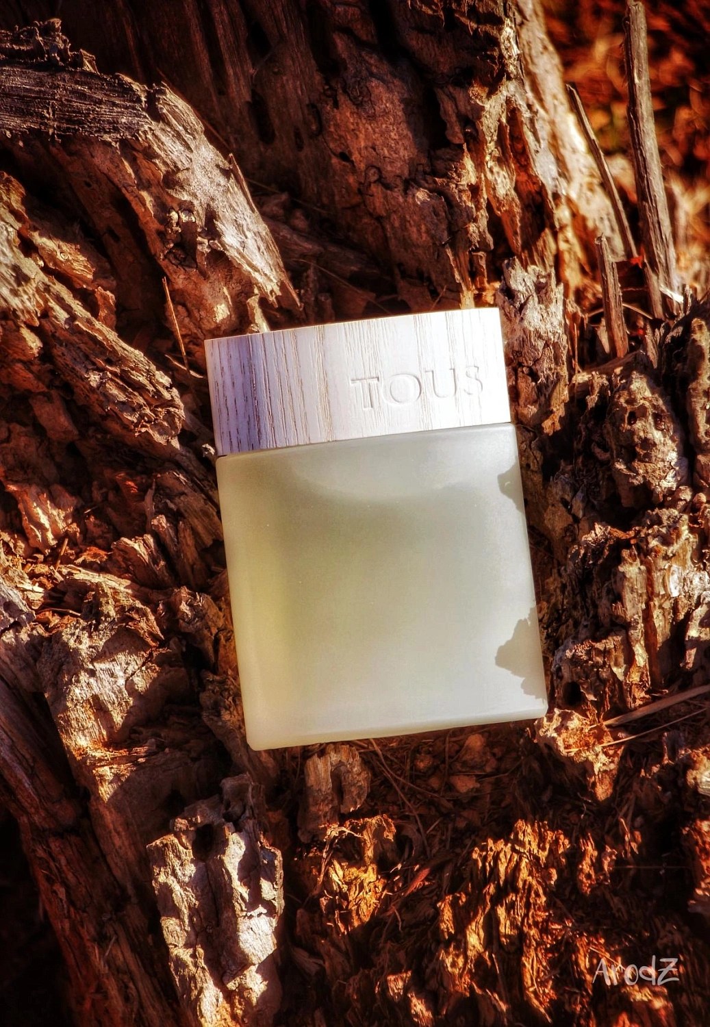 Tous Man Les Colognes Concentrees Tous Man Les Colognes Concentrees