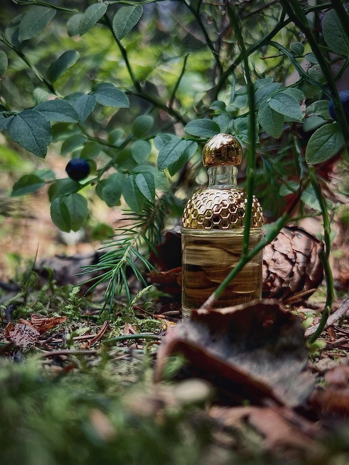 Guerlain Aqua Allegoria Gentiana Guerlain Aqua Allegoria Gentiana