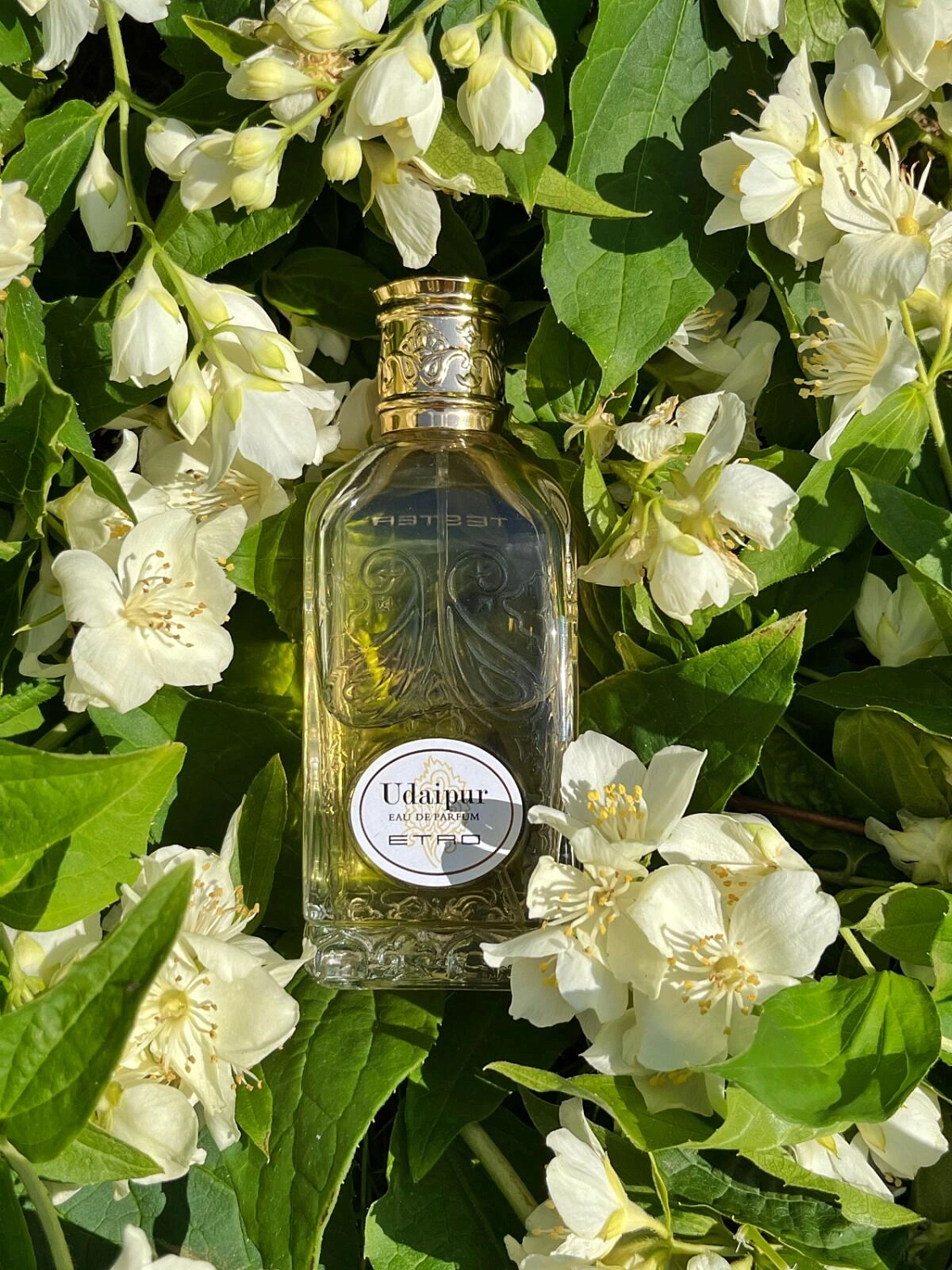ETRO Udaipur