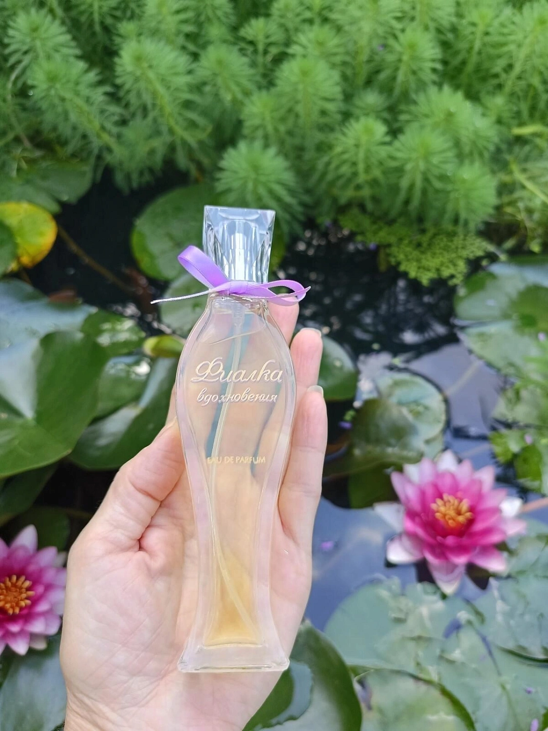 Novaya Zarya (Новая Заря) Фиалка вдохновения (Violet of inspiration)