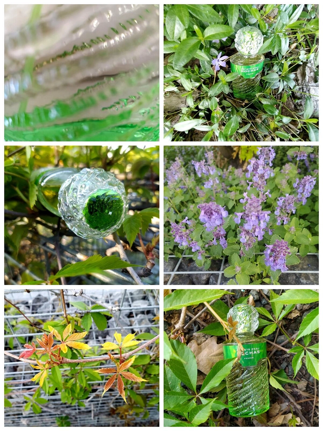 Reflets d'Eau de Rochas