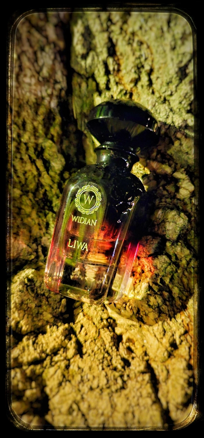 Aj Arabia Widian Liwa