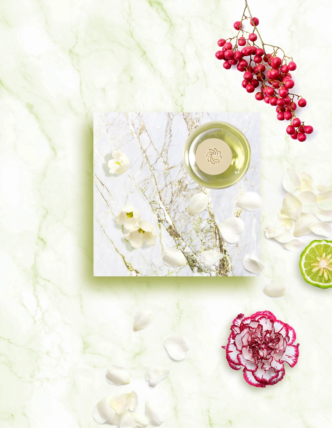 Aj Arabia Widian Rose Arabia Lily