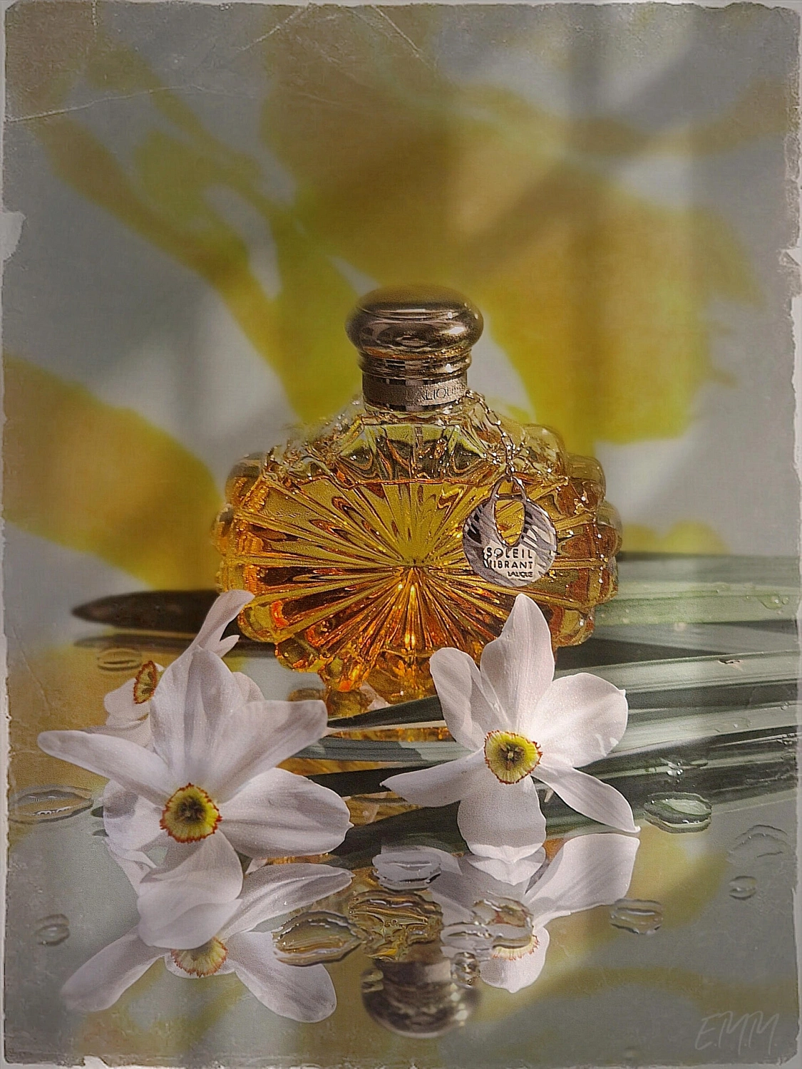 Lalique Soleil Vibrant