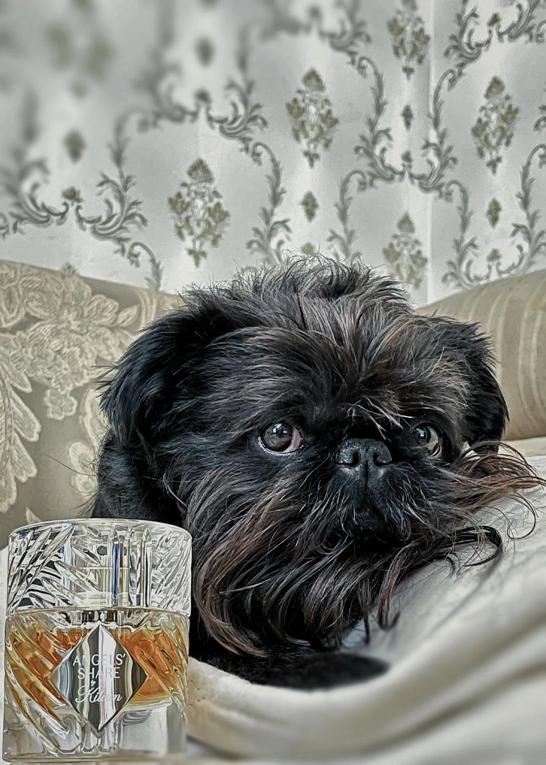 By Kilian Angels' Share