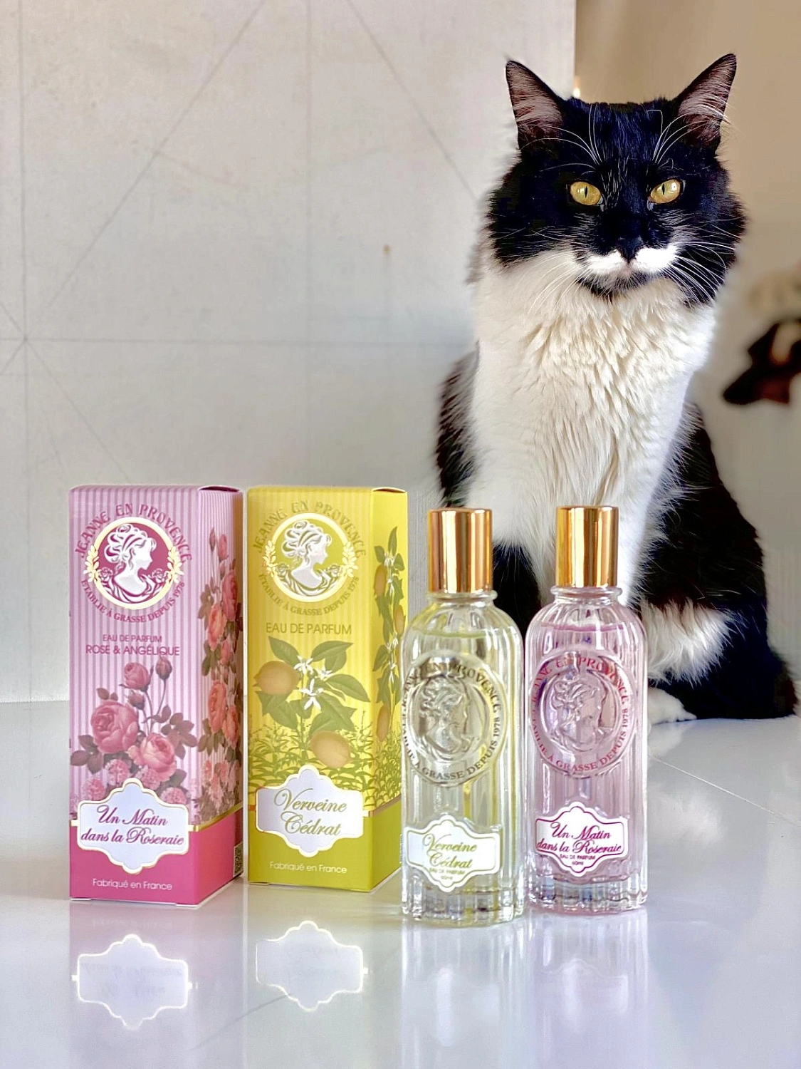 Jeanne en Provence Un Matin Dans La Roseraie