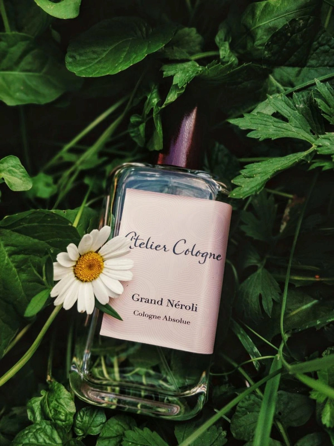 Atelier Cologne Grand Neroli